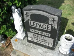 Raymond Lepage