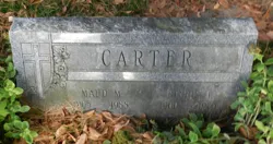 Dennis J Carter