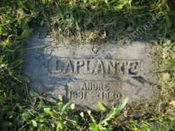 André Laplante