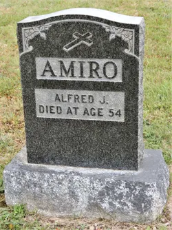 Alfred J Amiro