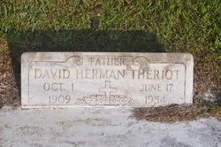 David Herman Theriot